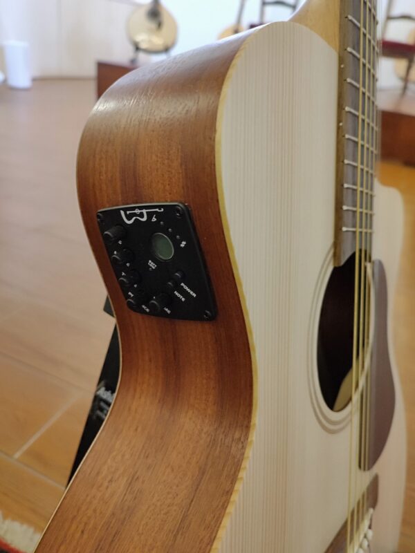 Amplificador Guitarra Acústica APC EA100