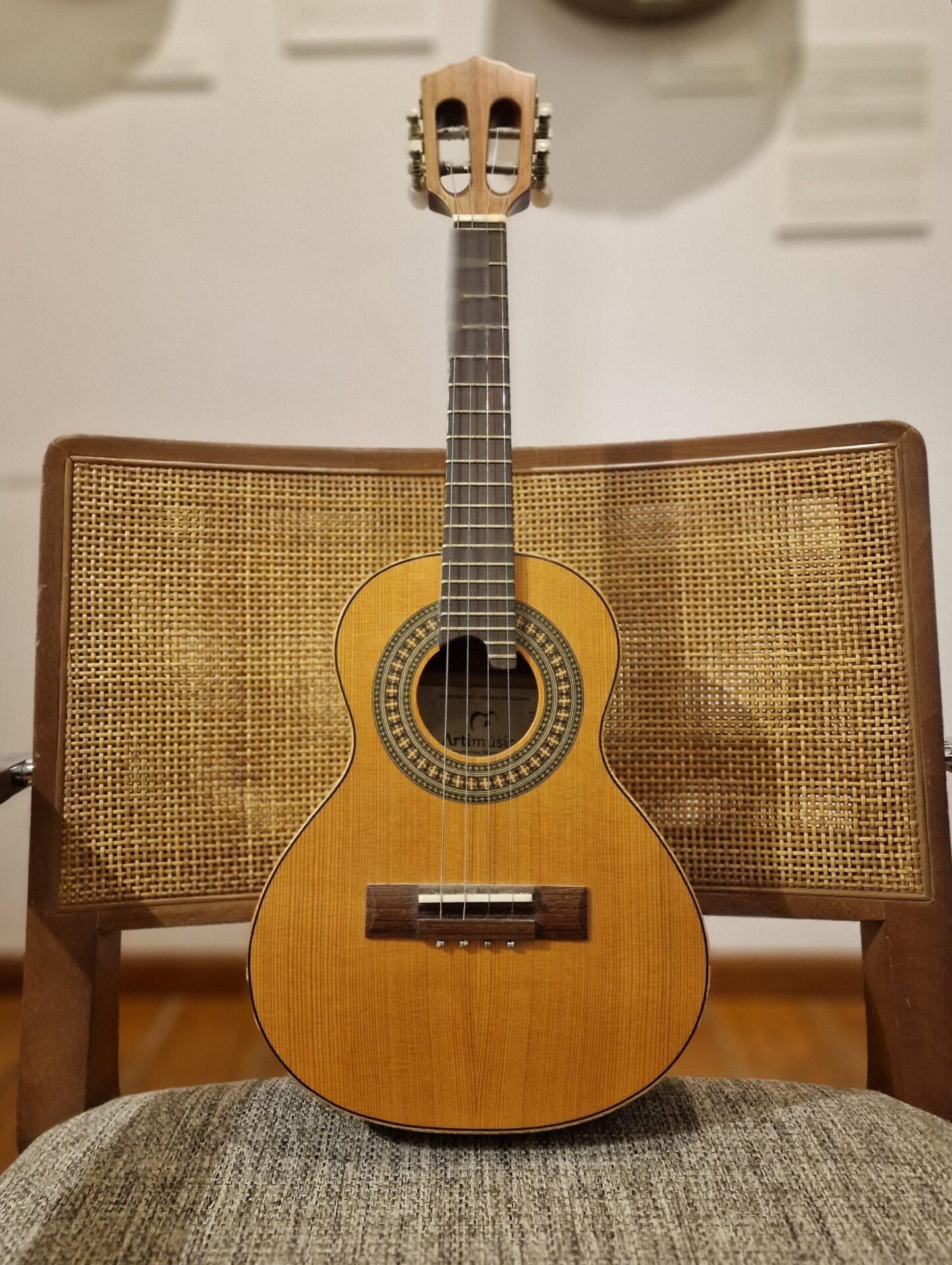 Cavaquinho Brasileiro Artimúsica Meio Luxo CV51C - Casa da